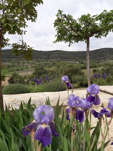 Large Provencal villa with panoramic view very close to Vallon Pont d 'Arc