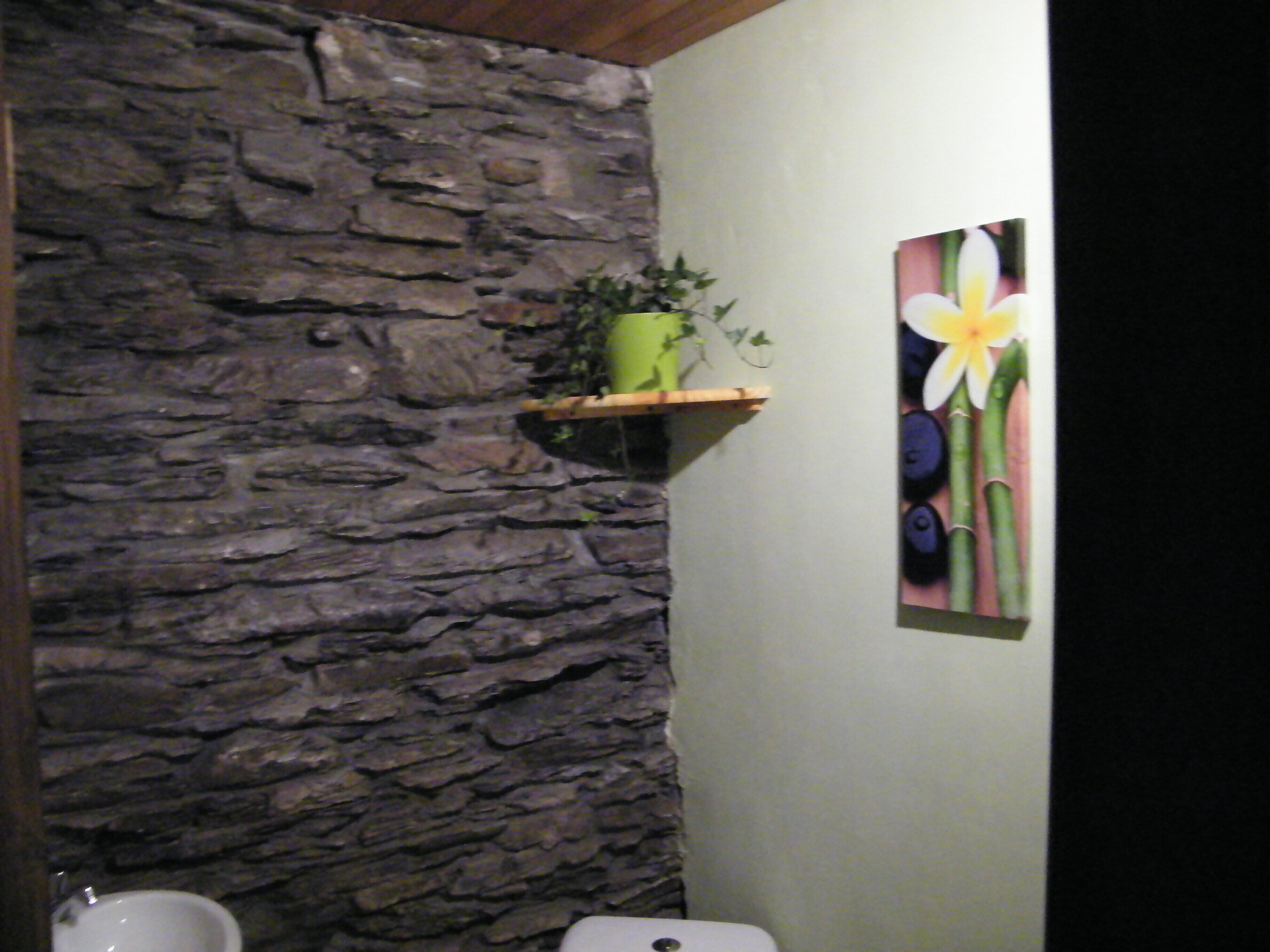 Een badkamer met een stenen muur, een wit toilet, een groene plant op een plank en een bloemverfijng.