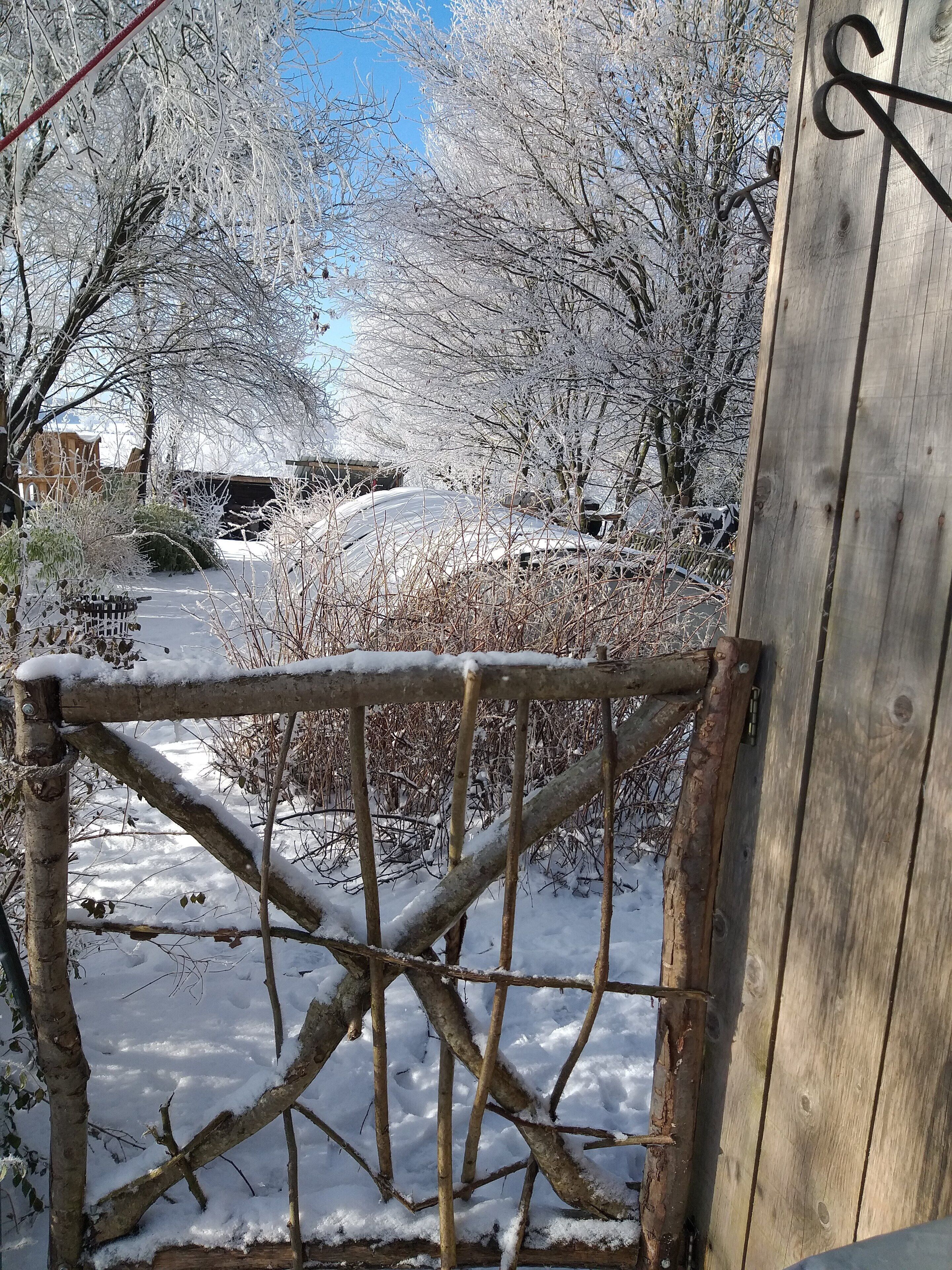 A wooden gate with a metal frame, leading to a snow-covered garden with bare trees and a clear blue sky.