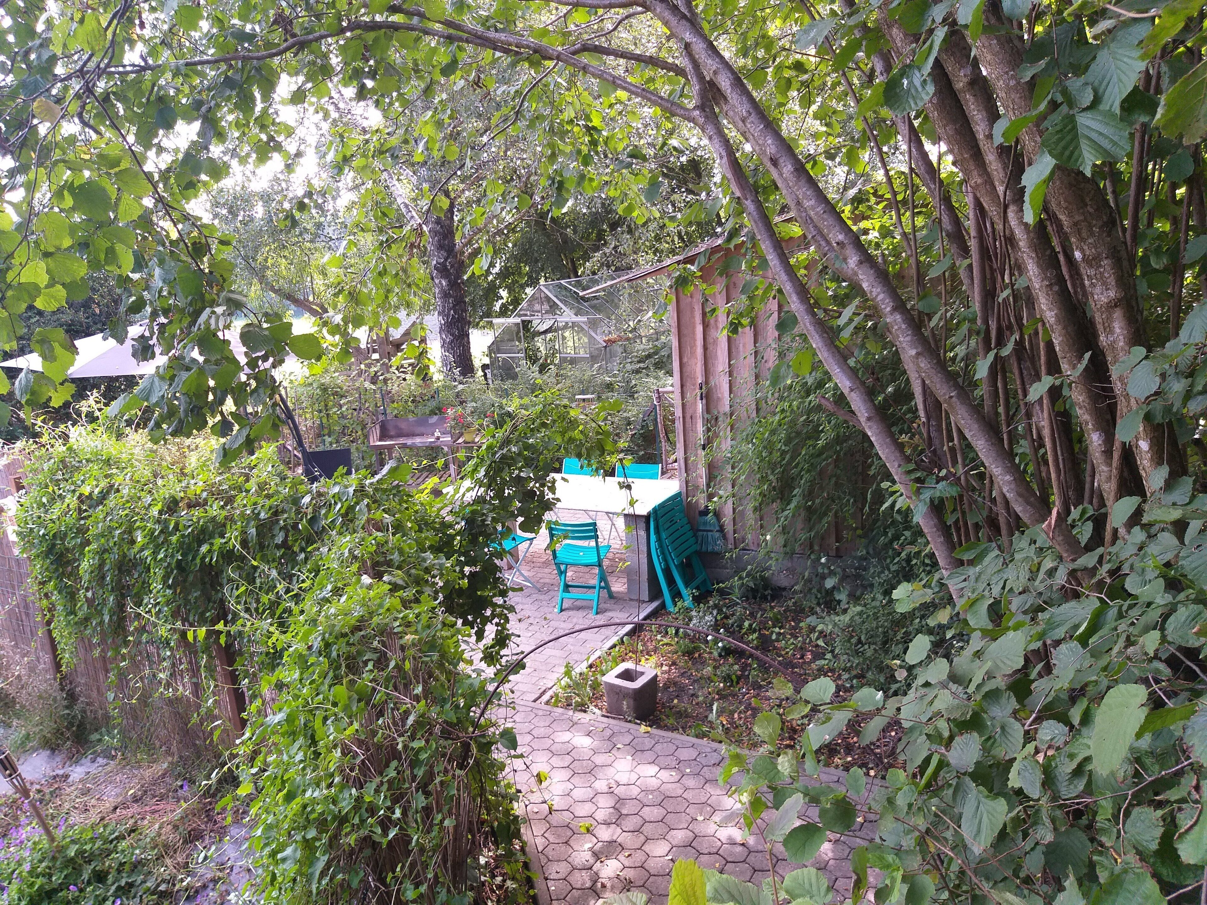 A garden area with a table and chairs, surrounded by dense foliage and trees.