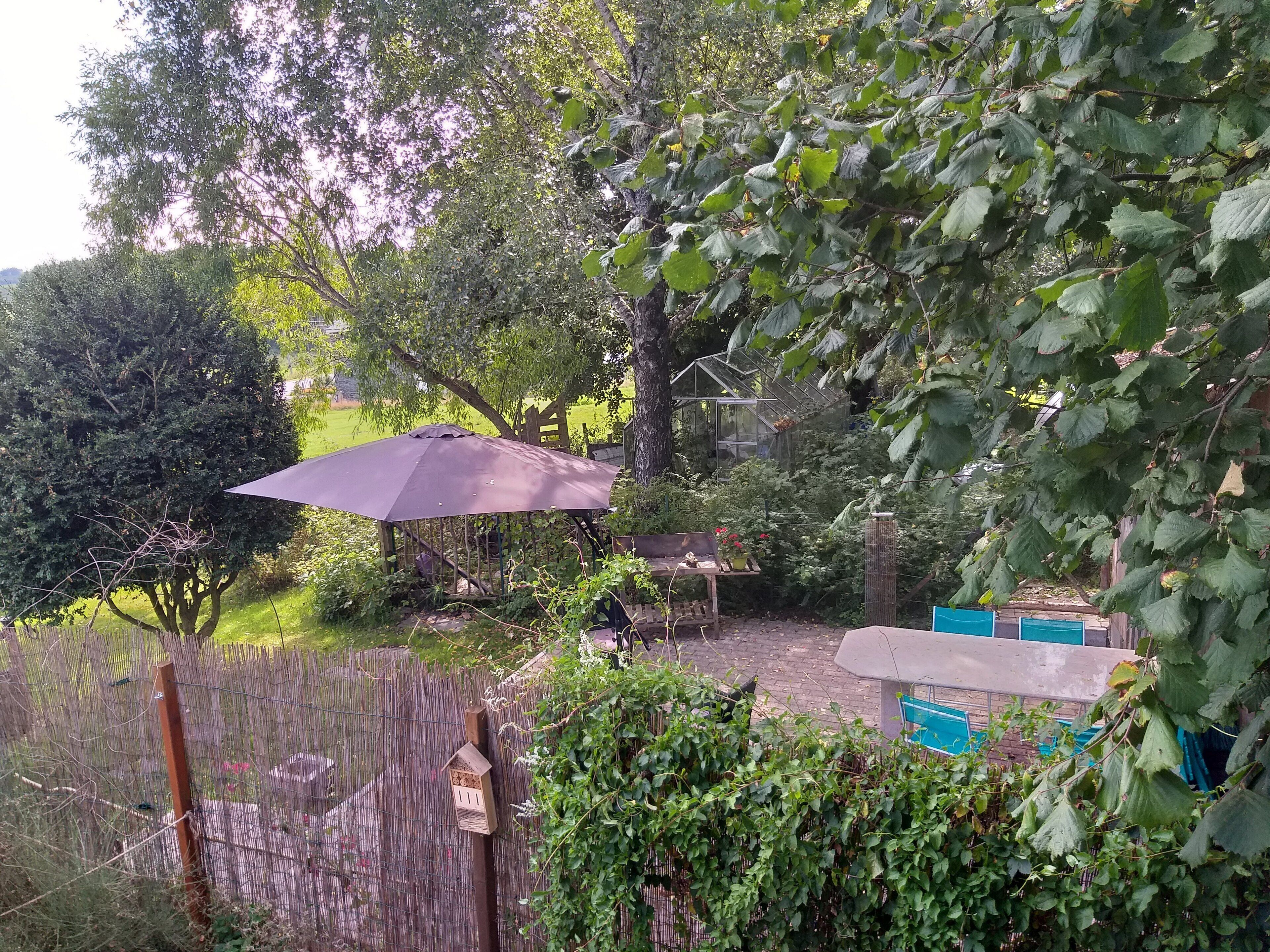A garden with a pergola, a wooden fence, and a greenhouse.