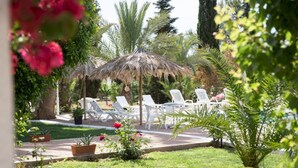Un área de estar al aire libre con sillones blancos y un toldo de paja, rodeada de exuberante follaje y palmeras.