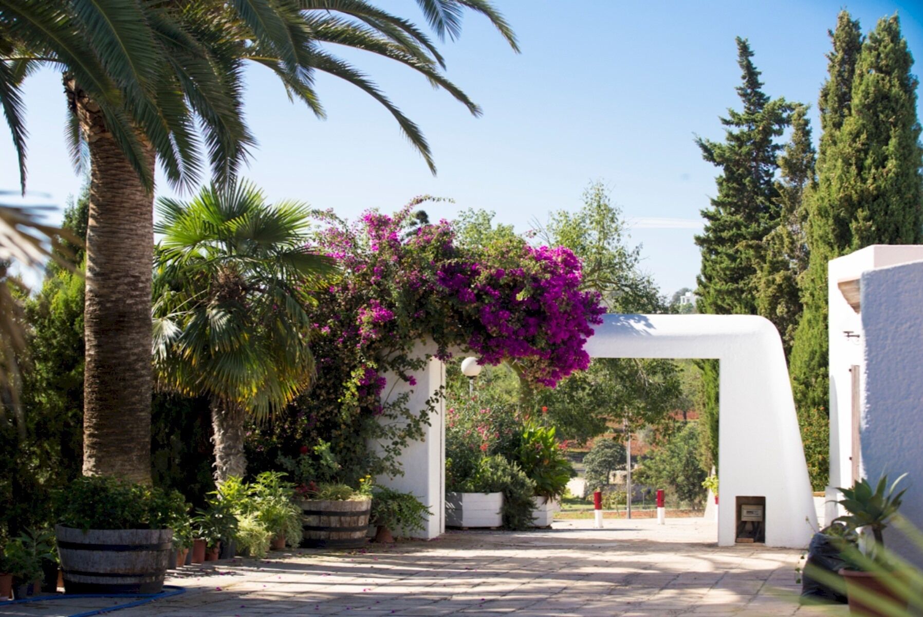 المنطقة المحيطة بالمنشأة