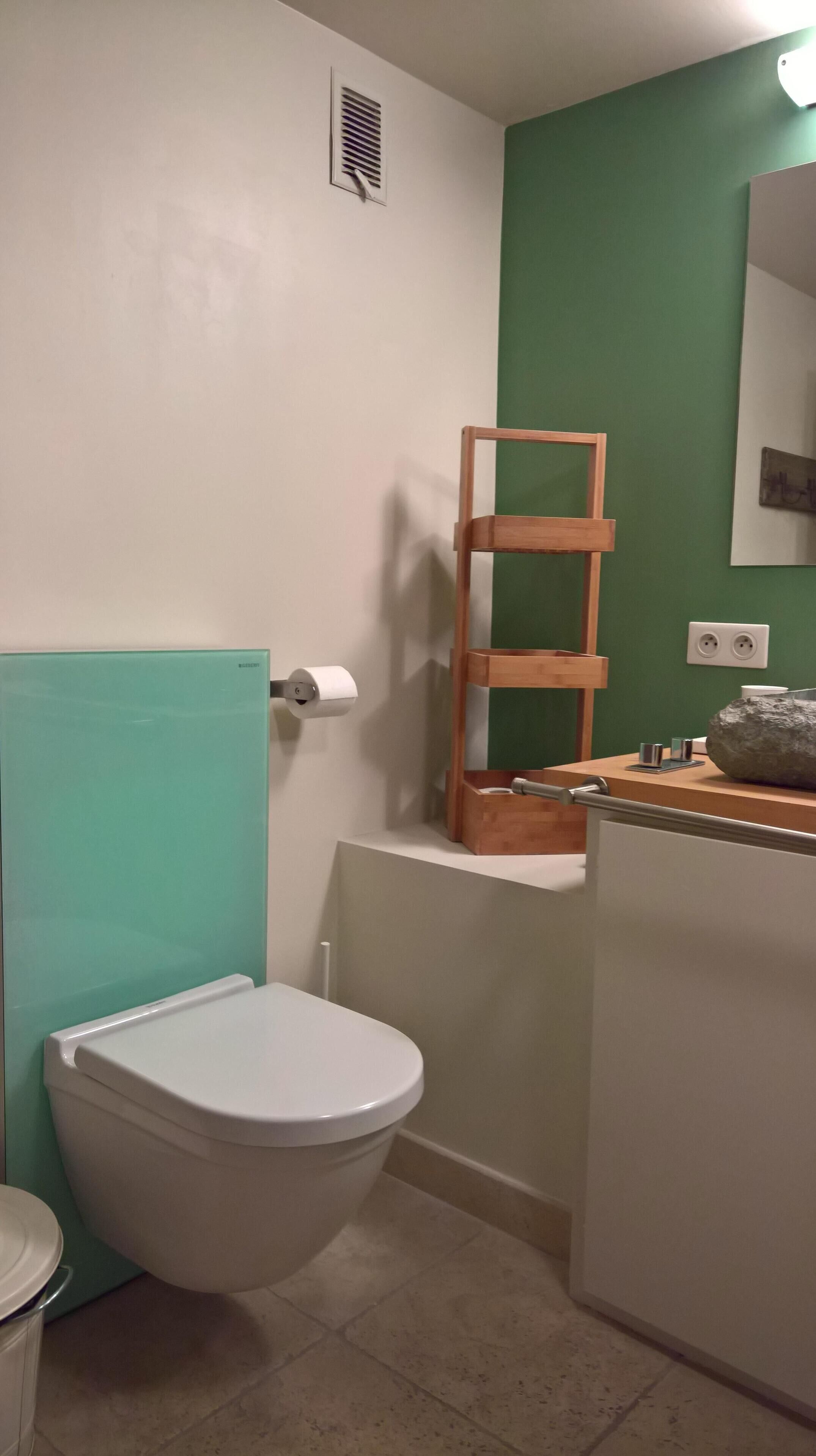 Een kleine badkamer met een toilet, een groene wand, een houten plank en een spiegel.