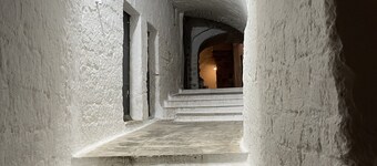 SPEKTAKULÄRE VILLA MIT MEERBLICK, IM MILLENARY OLIVE GROVE