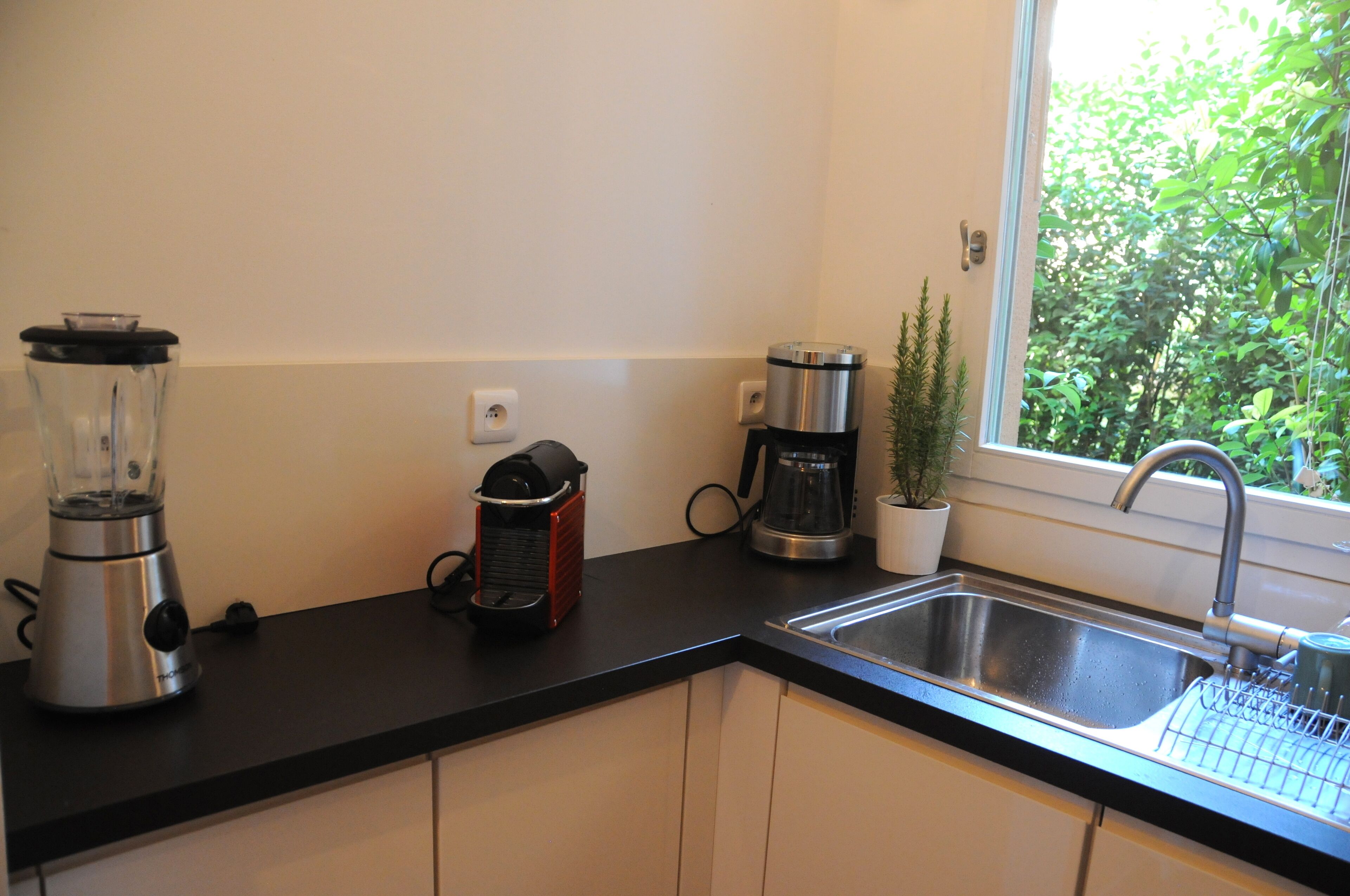 A kitchen with a blender, coffee maker, and a potted plant.
