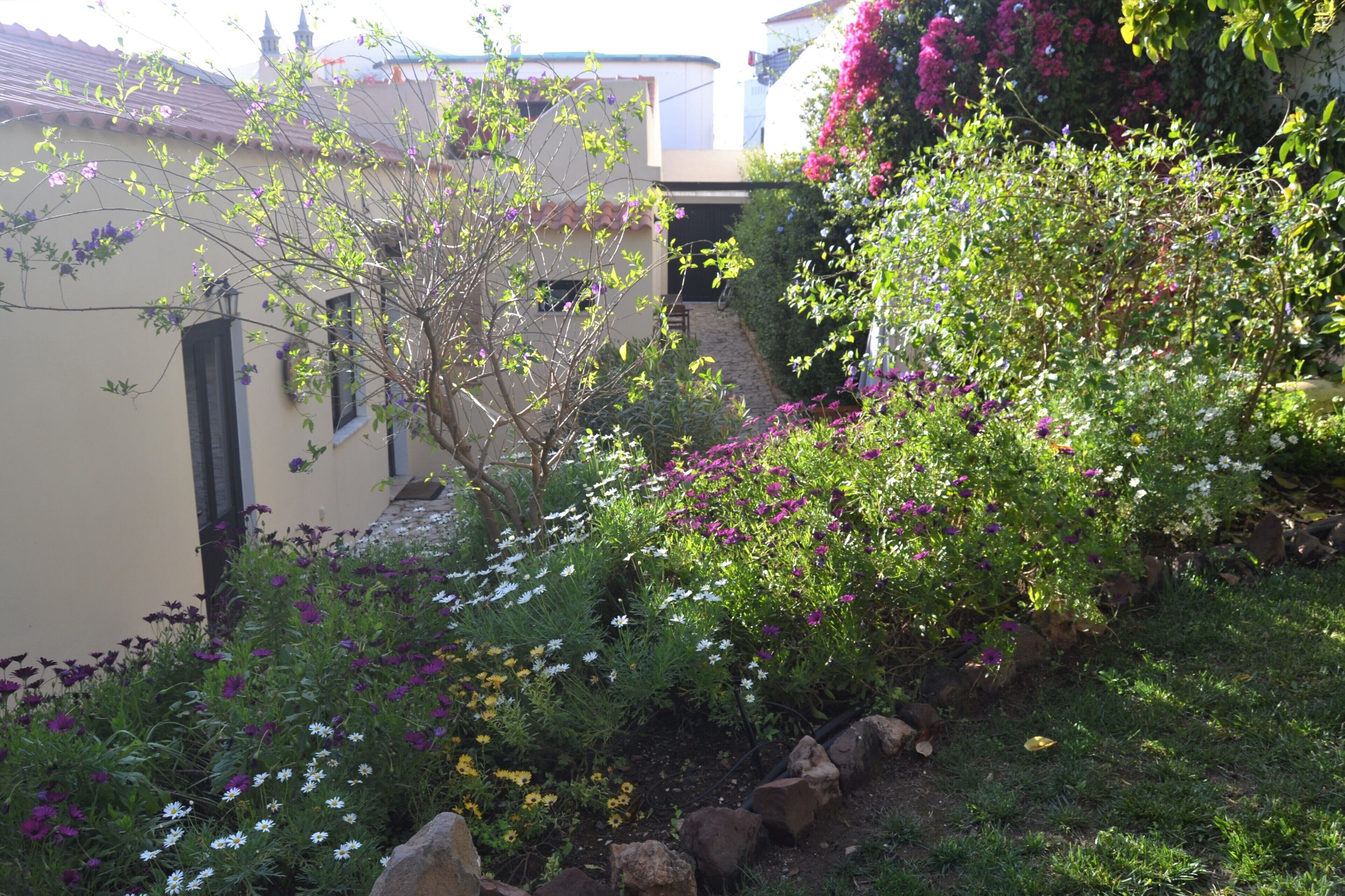 En have med forskellige planter og blomster, en sti og en bygning med et tegltag.