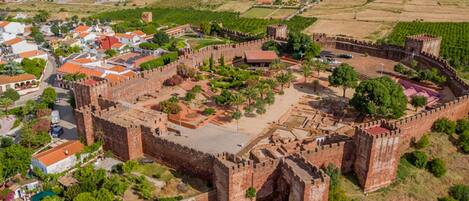 Vista aerea di una città storica cinta da mura, con una fortezza centrale, edifici residenziali circostanti e vigneti.