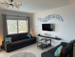 Smart TV, DVD player, books, video library