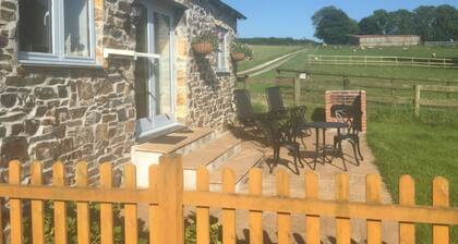 Morvoren-mökki (nukkuu 2-4)