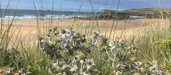 Morvoren Cottage (2-4 personnes)