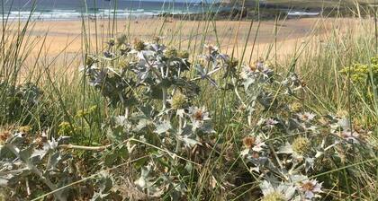 Morvoren Cottage (2-4 Personen)