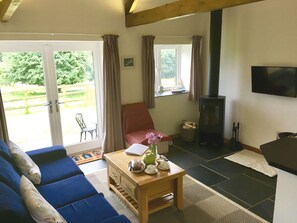 Tv, dvd-spelare, ett filmbibliotek och en stereo