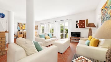 TV, fireplace, DVD player, books