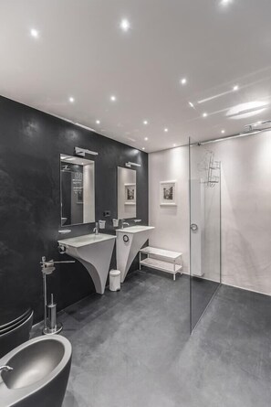 Shower, hair dryer, bidet, towels