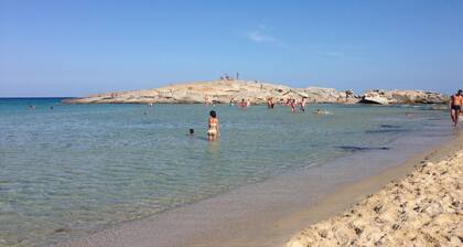 Maison de jardin avec une belle vue sur la mer