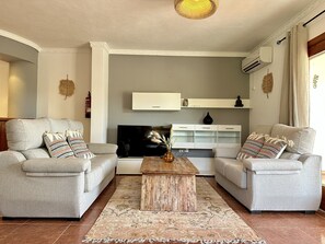 Télévision, cheminée, baby-foot, table de tennis de table