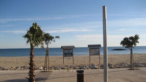 Un paseo marítimo con palmeras, contenedores de basura y carteles informativos.
