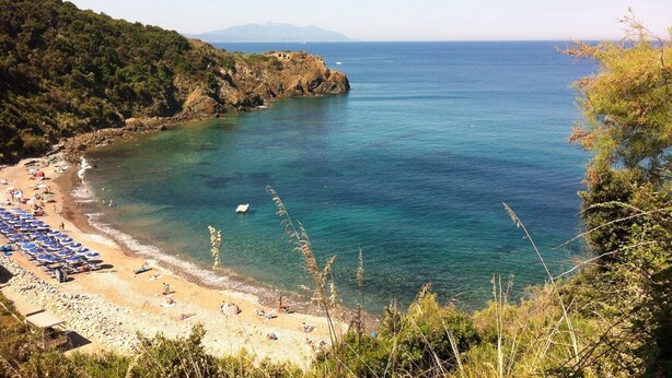 A coastal beach with clear waters, a rocky shoreline, and a mountainous backdrop. - 8 RIBOCCHI HOLIDAY HOME: THREE-ROOM APARTMENT WITH POOL SEA, THERMAL BATHS AND VILLAGES  (Campiglia Marittima)