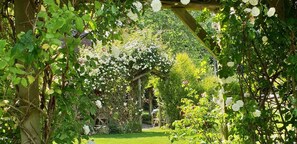 A garden with a wooden pergola covered in white flowers, surrounded by lush greenery. - Gorgeous Country Cottage, beside Windsor Great Park & overlooking Windsor Castle (Old Windsor)