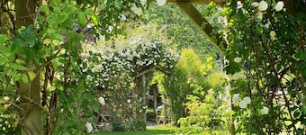 Gorgeous Country Cottage, beside Windsor Great Park & overlooking Windsor Castle