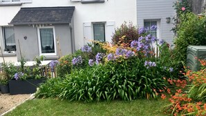 A garden with various flowers and plants in front of a white house with shutters.