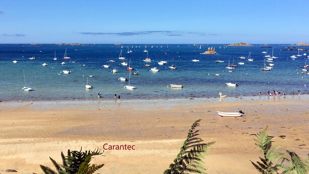 A beach with boats and people.