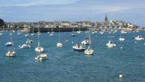 A harbor with numerous boats docked, a town with historic buildings in the background, and a clear sky.