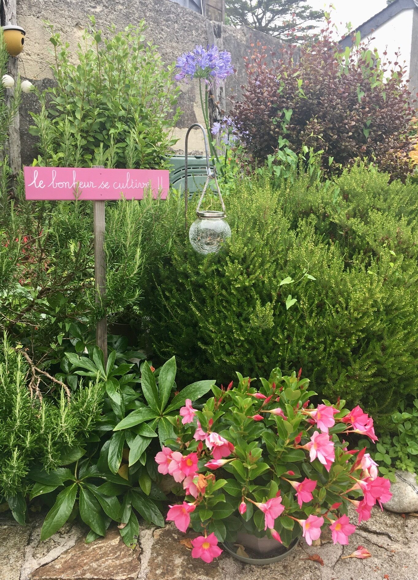 A garden with various plants and flowers, a hanging glass lantern, and a sign with French text.
