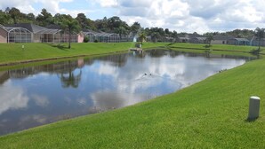A tranquil pond with a grassy bank, surrounded by a row of greenhouses. - Town Center Reserve - Superior Disney Villa with Lake View, free WiFI & Netflix (Davenport)