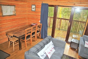 TV, fireplace, DVD player, books