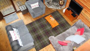 TV, fireplace, DVD player, books