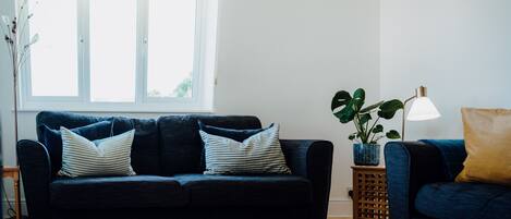 Smart TV, fireplace, DVD player, books