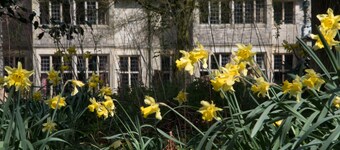 Beautifully appointed cottage in extensive grounds