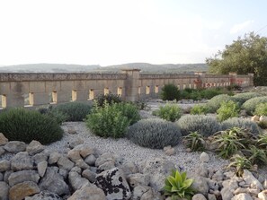 Property grounds - Casa Isabella - a cook's and garden lovers paradise - perfect for winter rental (Noto)