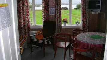 TV, fireplace, DVD player