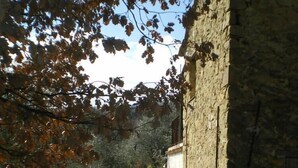 Un edificio de piedra rústico con un pequeño porche y una ventana, rodeado de árboles y un área con césped.