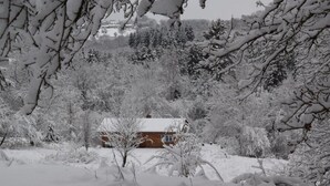 Une cabane entourée d’arbres couverts de neige.