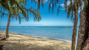 Una playa con agua cristalina, orilla de arena y árboles.
