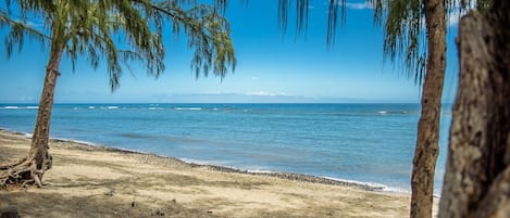 Beach nearby, sun loungers
