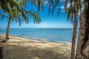 Nær stranden og solsenger