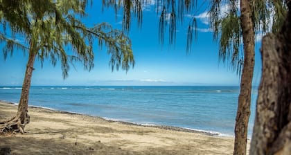 Proche Plage : Piscine Privée ; Terrasse ; Vue panoramique ; Climatisation