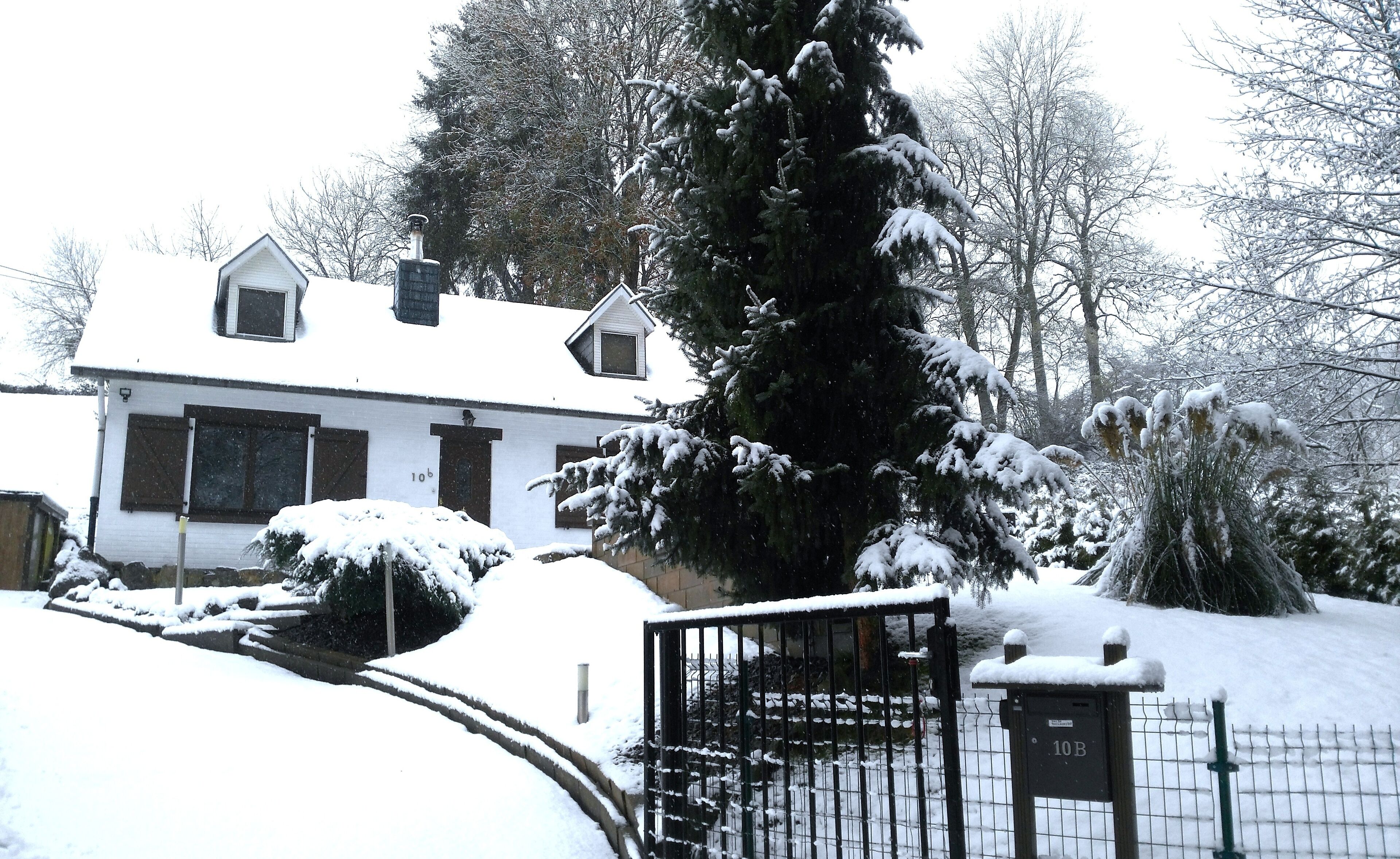 At the end of a dead end, the entrance to a forest lies this splendor.