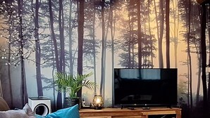 A living room with a forest-themed wall, a television, a speaker, and a small table with a plant and a decorative item. - WesterOurthe 6 persons with sauna (Durbuy)