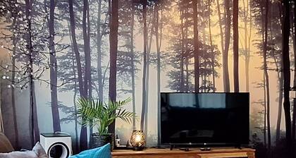 WesterOurthe 6 persons with sauna