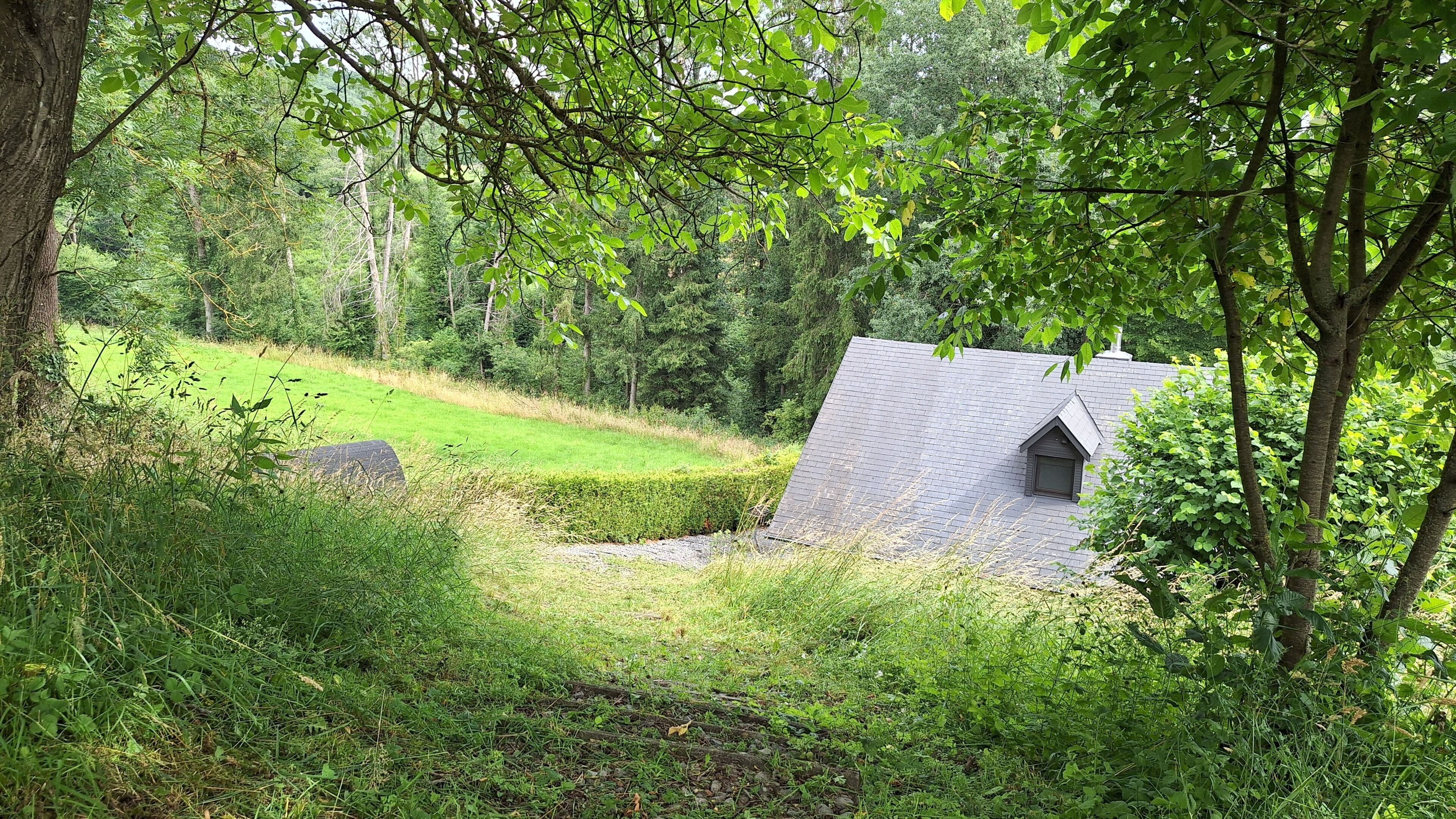 Una casa con tetto spiovente, immersa nel verde e circondata da alberi.