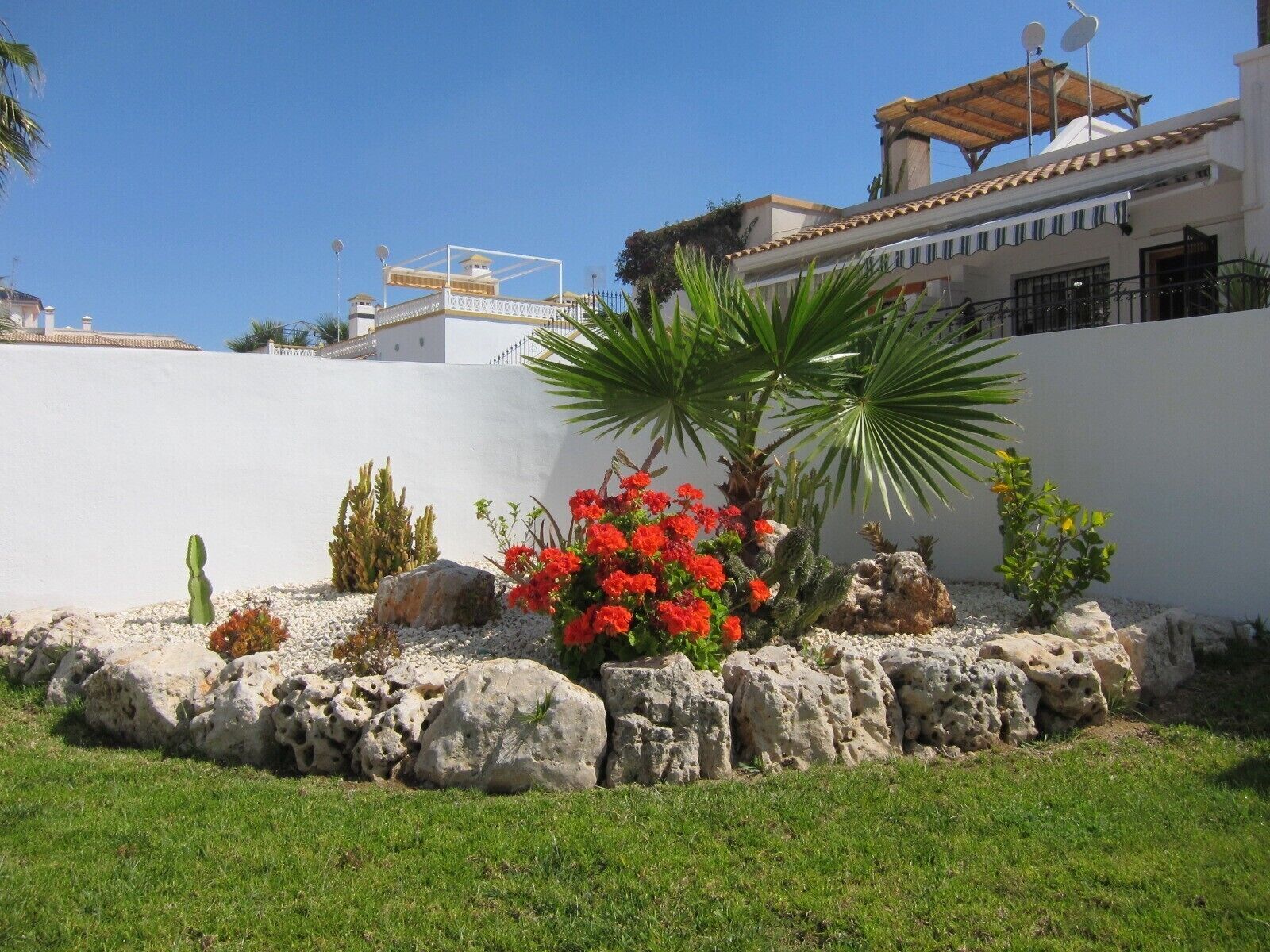 beautiful landscaping in communal pool