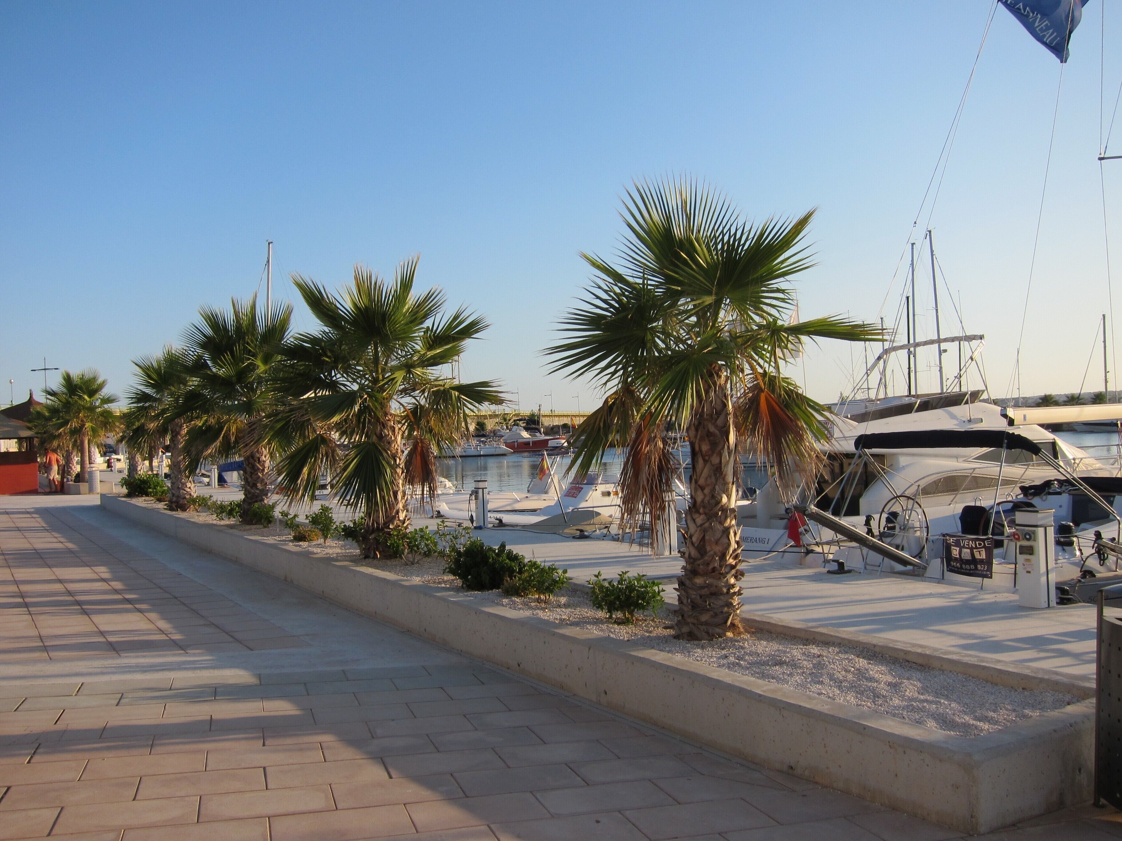 Torrevieja marina