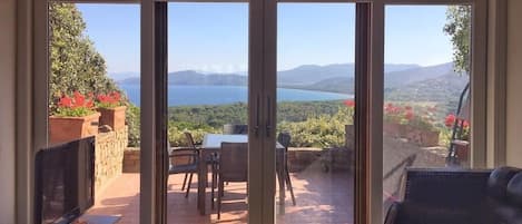 Televisión, reproductor de DVD, libros y videoteca