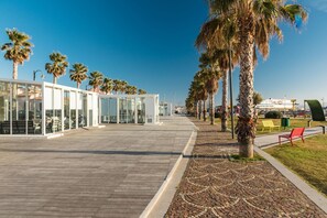 A waterfront promenade with palm trees, a glass building, and a paved walkway.